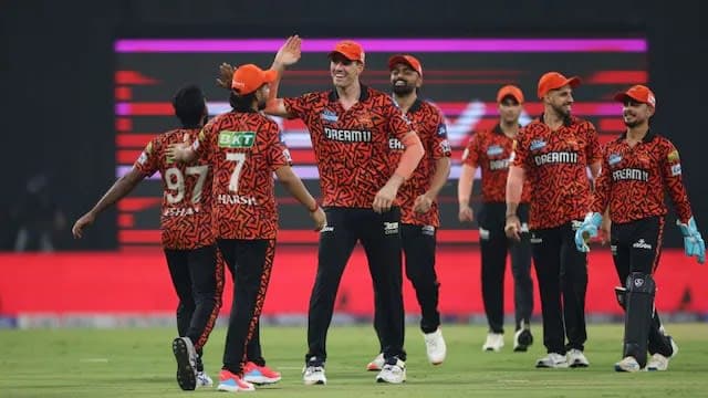 ২৩৫ রানের পাহাড় ডিঙাতে পারল না পাঞ্জাব, শীর্ষে উঠল সানরাইজার্স